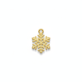 Snowflake Charm
