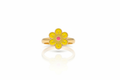 Yellow Flower Ring on White Background